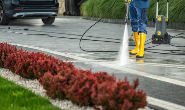 Best Fleet Vehicle Washing  in Eunice, NM